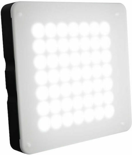 Natec Alfama Led Color Lumină video 6500K 5W