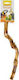 Benelux Bird Cage Game Branch 30x4cm