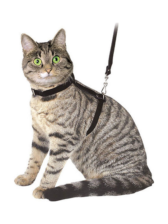 Kerbl Katzenleine mit Anleitung Wildleder Leder 120cm Schwarz 83819 Kerbl Katzenleine mit Anleitung Wildleder Leder 120cm Schwarz 83819