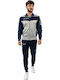 Lucios cu Elastic Grey / Navy Blue
