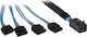 Inter-Tech Mini SAS to 7-Pin SATA III Cable 50cm Black (88885003)