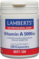 Lamberts Vitamin A Βιταμίνη για Ανοσοποιητικό 5000iu 120 κάψουλες