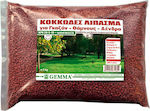 Gemma Granular Fertilizer Κοκκώδες 20-5-10 για Γκαζόν / Θάμνους / Κωνοφόρα 1kg
