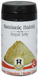 Herbstore Βασιλικός Πολτός Βιταμίνη 350mg 50 φυτικές κάψουλες