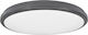 SoleLuce Outdoor Ceiling Flush Mount in Gray Color 2061001259