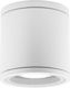 SoleLuce Outdoor Ceiling Flush Mount in White Color 2061600409