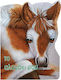 Good Morning Animals My Little Horse