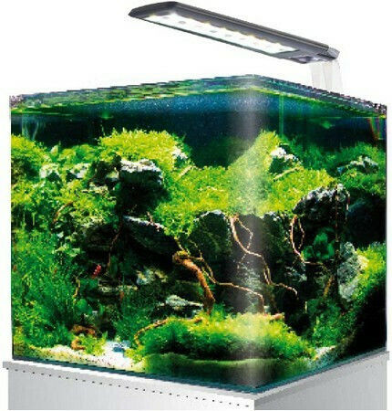 Amtra Nanotank Cube System 20 Fish Aquarium Capacity 18lt with Lighting, Filter and 25x25x30cm