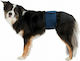 Trixie Pampas Dog Panties XLarge 65 - 75cm 1pcs