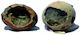 Croci Eggs of Dinosaur Rock Διακοσμητική Πέτρα Ενυδρείου