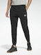 Workout Ready Piping Jogginghose mit Gummizug Schwarz