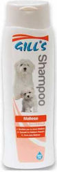 Croci Gill's Shampoo Poodle 200ml