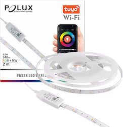 Polux Ταινία LED 220V Wi-Fi RGB 2m Polux Ταινία LED 220V Wi-Fi RGB 2m