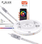 Polux Waterproof LED Strip Power Supply 220V RGBW Length 2m