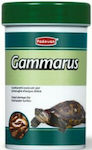 Padovan Gammarus Τροφή για Χελώνες PP00177 250ml