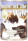 Taste Of The Wild Pacific Stream Canine Υγρή Τροφή Σκύλων σε Κονσέρβα με Κρέας, Σολομό, Ψάρι, Πατάτες και Βατόμουρα χωρίς Σιτηρά 390gr