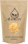 Garlic Granule 50gr