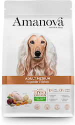 Amanova Adult Medium 12kg Amanova Adult Medium 12kg