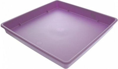 Viomes Linea 594 Square Plate Pot Purple 29x29cm