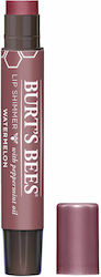 Burt's Bees Schimmer Lippenbalsam
