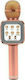 WSTER Wireless Karaoke Microphone WS-1818 Rose ...