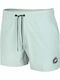 Men's Swimwear Shorts Green