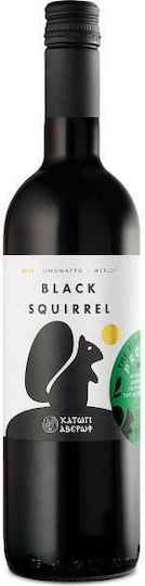 Katogi Averof Vin Negru Black Squirrel Sec 750ml