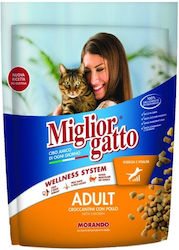 Morando Miglior Gatto Hrană Uscată pentru Pisic...