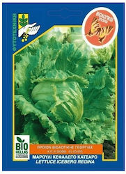 Seed Lettuce Head Lettuce Organic | 1 pc