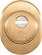 Cisa Defender Lock Armoured Door Bronze