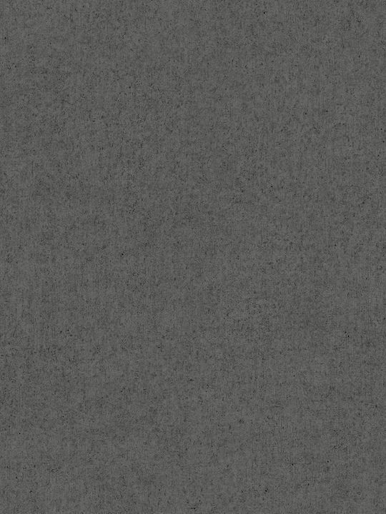 Wallpaper Onyx Gray L1000xW53cm