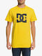 Xyyk Dandelion T-shirt Dandelion