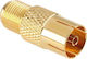 Inne Βύσμα Coaxial female Χρυσό DM-0601-1