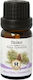 Herbstore Essential Oil Pine 10ml