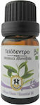 Herbstore Bio Tea Tree Αιθέριο Έλαιο 10ml