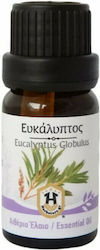 Herbstore Eucalyptus Αιθέριο Έλαιο 10ml