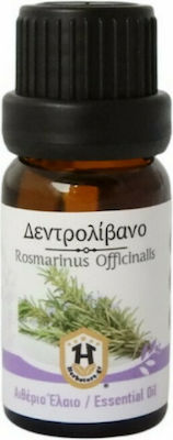 Herbstore Ätherisches Öl Rosemary 10ml