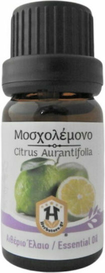 Herbstore Ätherisches Öl Limette Essbar 10ml