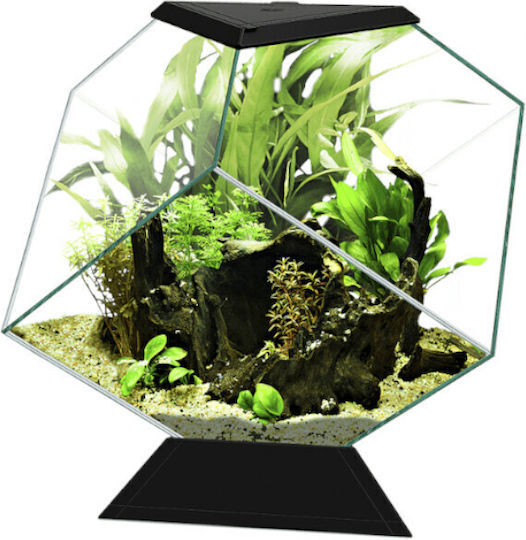 Ciano Nexus Pure Diamond Teren pentru reptile Black 35.4x41.8x36.8cm