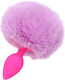 Naughty Toys Anal Plug Small Purple 12cm