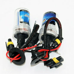 Lamps H11 Xenon Cold White 2pcs
