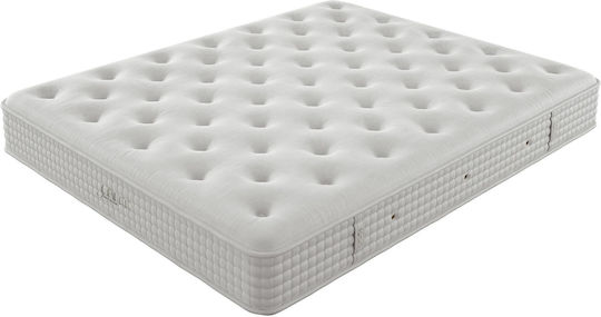 Greco Strom Jubilee Einzel Ergonomisch Matratze Schaum / Latex 100x200x30cm