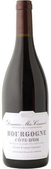 Domain Meo Camuzet Κρασί Cote D’or Cuvee Etienne Pinot Noir Ερυθρό Ξηρό 750ml