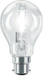 Delux Halogen Lamp for Socket B22 with Power 53W Delux Halogen Lamp for Socket B22 with Power 53W