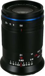 Laowa Full Frame Camera Lens 85mm f/5.6 2x Ultra APO Macro for Canon RF Mount Black