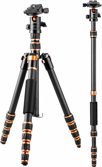 K&F Concept Kamerastative BA225 aus Carbonfaser mit Kugelförmiger Kopfart und Belastbarkeit 8kg