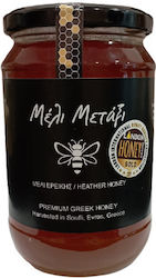 Meli Metaxi Мед Хедър