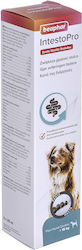 Beaphar IntestoPro Paste Dietary Supplement for Dogs 20ml for Gastrointestinal Disorders