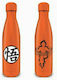 Pyramid International Kids Water Bottle Dragon Aluminium with Screw Cap Non Spill Orange 540ml