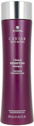 Alterna Clinical Densifying 250ml Alterna Clinical Densifying 250ml